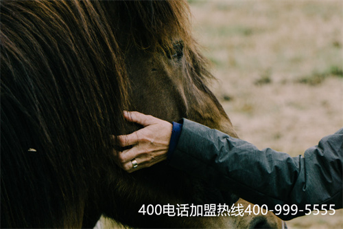 (如何申請400電話費用)(電信400電話怎么申請 費用)